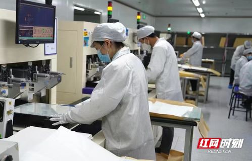 電子工匠展風(fēng)采，勞務(wù)品牌促發(fā)展——冷水灘區(qū)以專業(yè)勞務(wù)品牌助力就業(yè)與產(chǎn)業(yè)雙贏